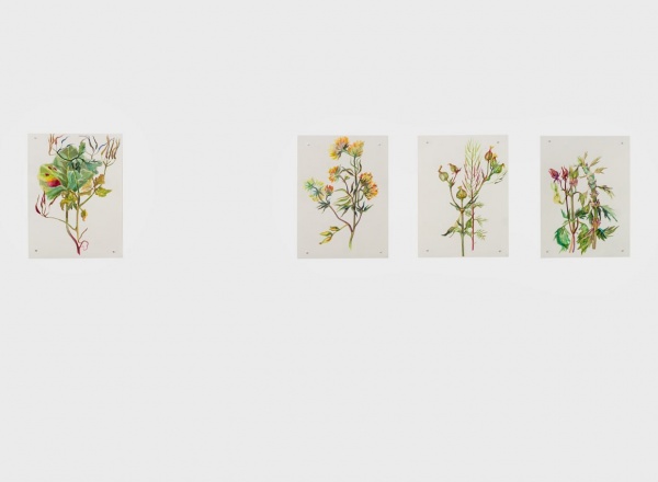 Выставка «Резонанс» I сезона арт-резиденции «Гало»