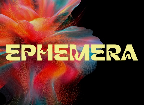 Процессуальная инсталляция EPHEMERA Процессуальная инсталляция EPHEMERA