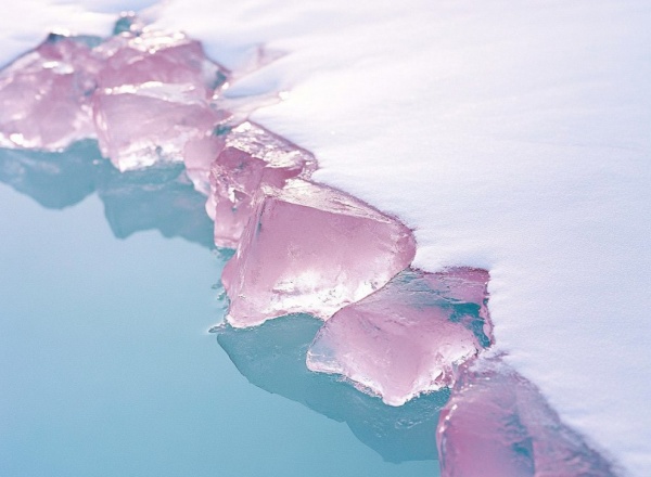 Выставка «Есть живые, есть мёртвые, а есть те, что идут в море» Выставка «Есть живые, есть мёртвые, а есть те, что идут в море»