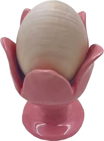 Пашотница «тюльпан»