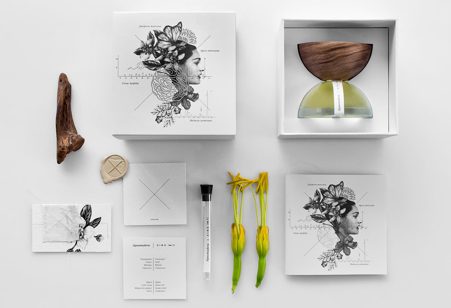 Xinú: аромат как искусство. Фото: Jaime Navarro