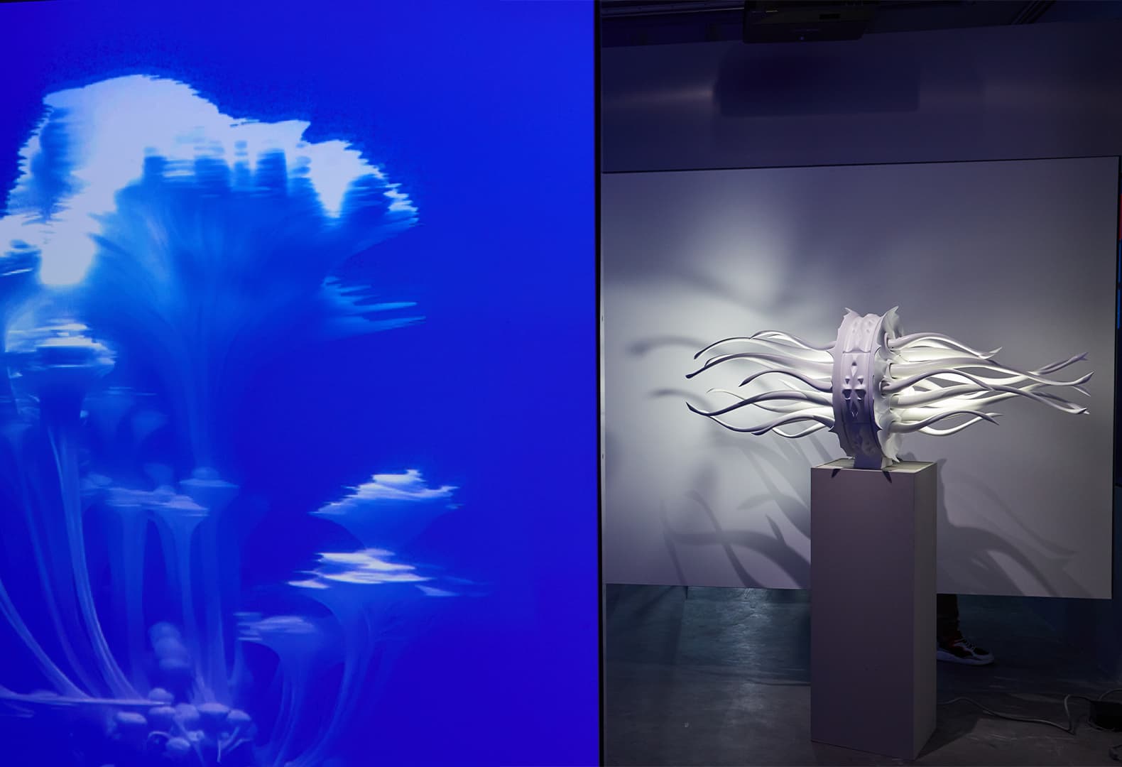 Физическое пространство VS Gallery