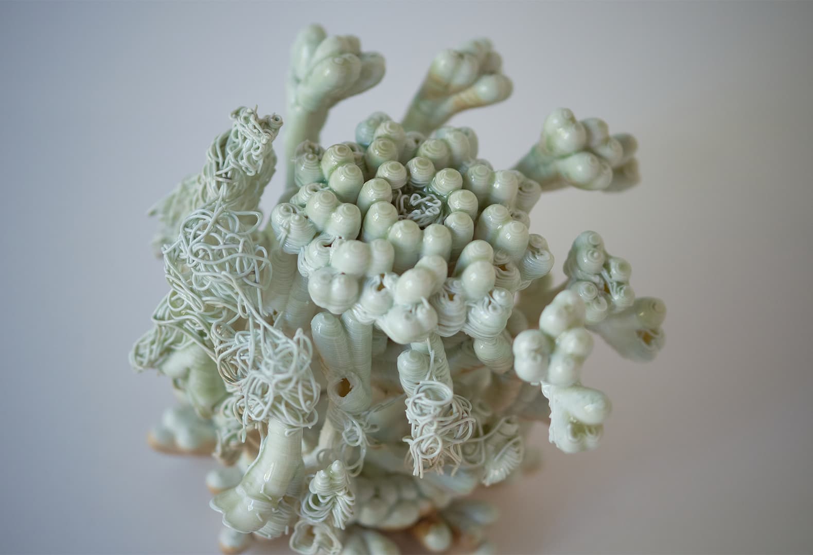 Данил Карамушкин