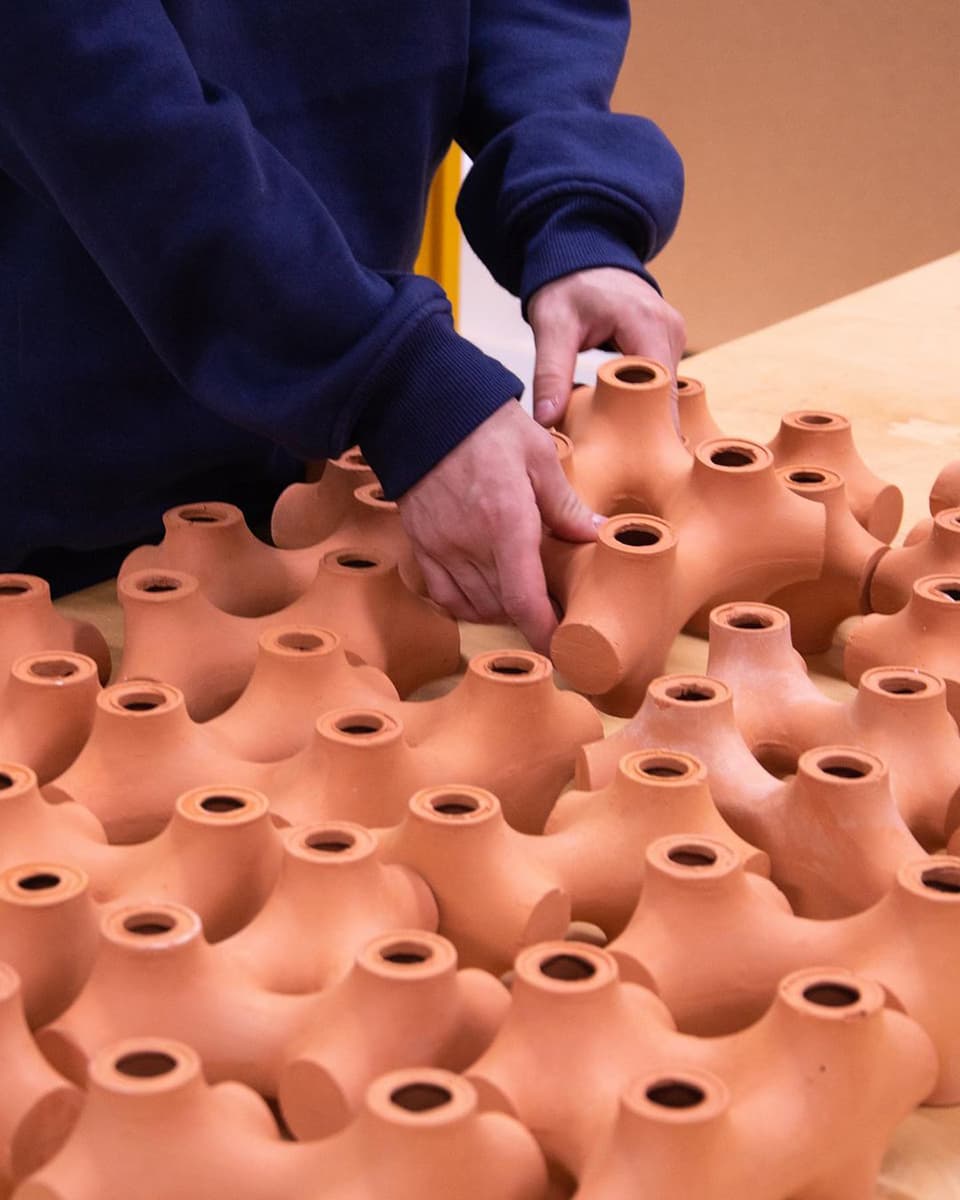 TerraCool. Dilara Temel & Lachlan Fahy. Фото: TerraCool