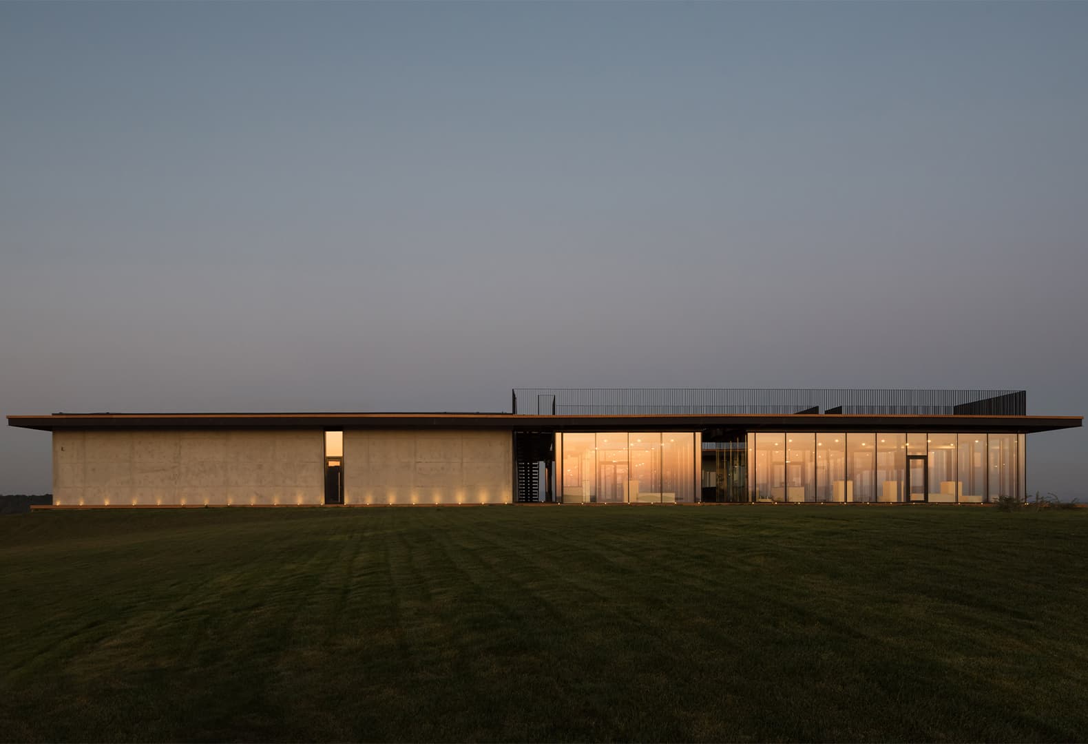 Виноградники Гай-Кодзора. Фото: Илья Иванов