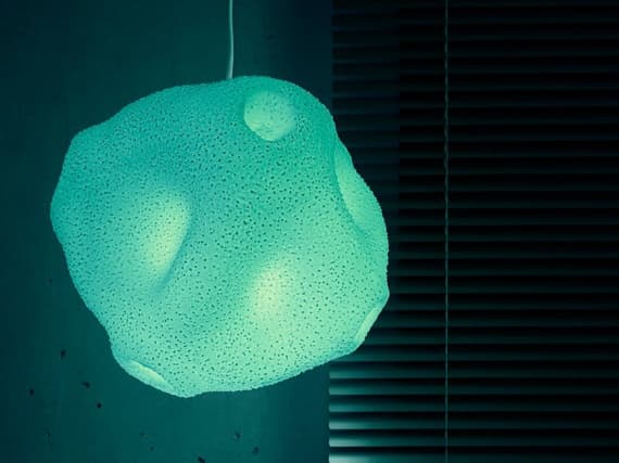 Швейцарские дизайнеры выпустили серию красочных 3D-ламп в виде пыльцы Швейцарские дизайнеры выпустили серию красочных 3D-ламп в виде пыльцы