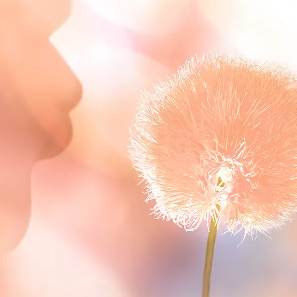 13-1023 Peach Fuzz PANTONE