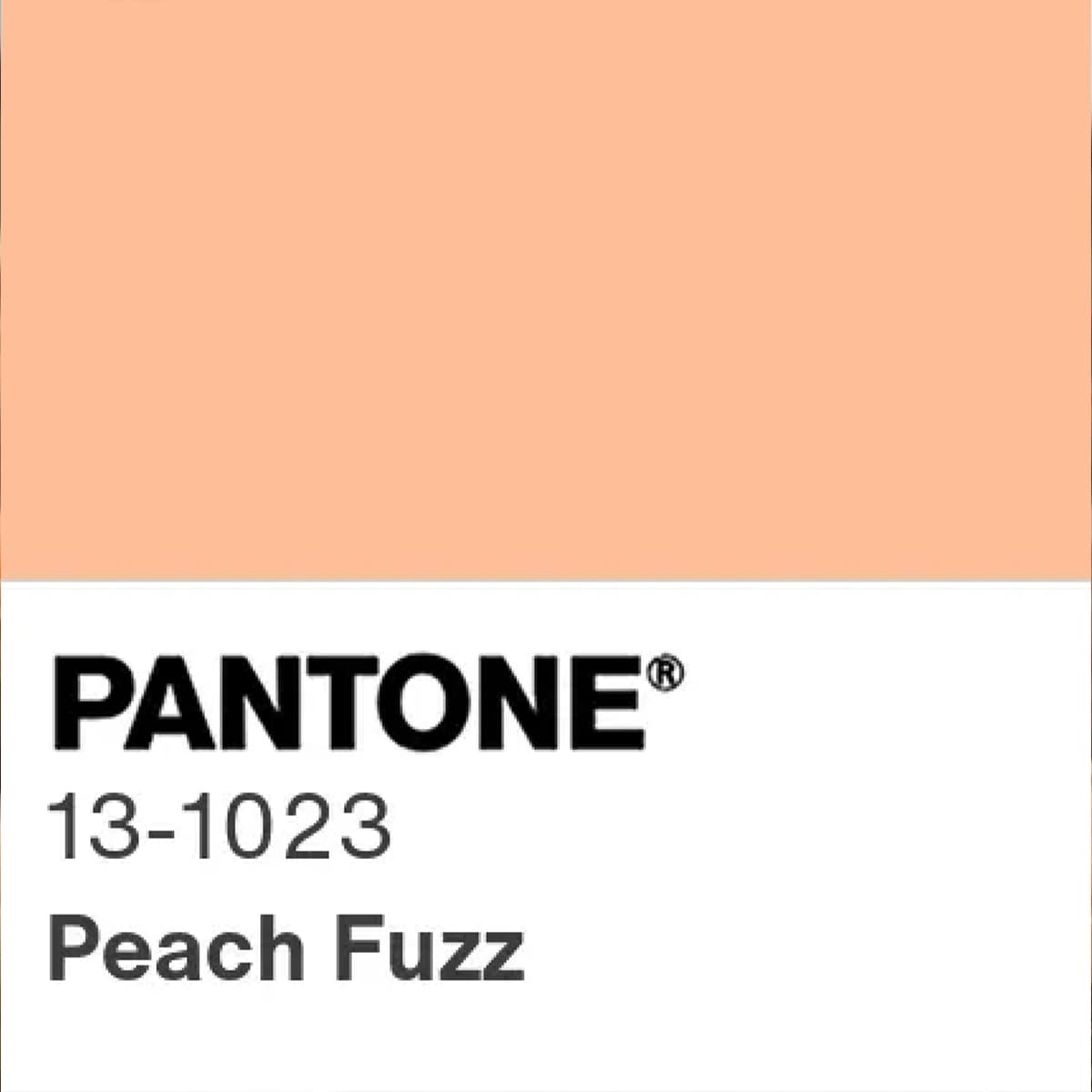 13-1023 Peach Fuzz PANTONE