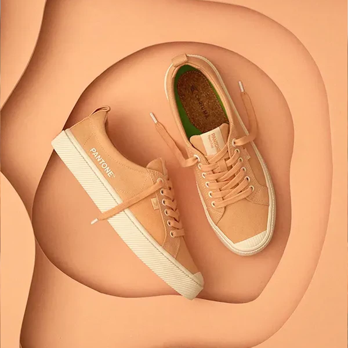 13-1023 Peach Fuzz PANTONE