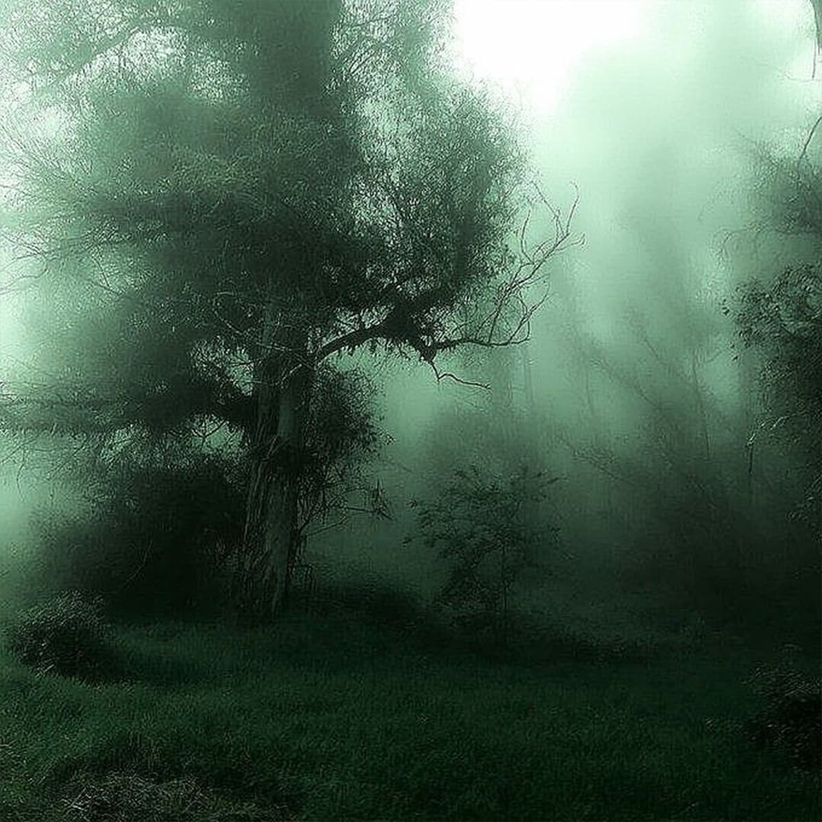 229 Hypnotized Olsta Architect