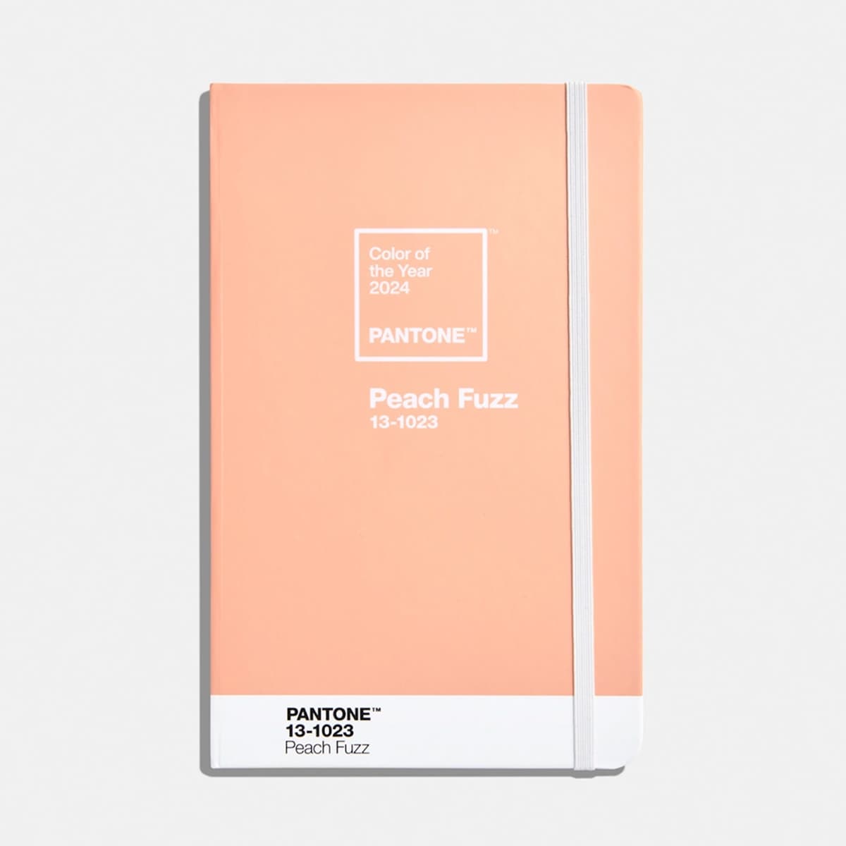 13-1023 Peach Fuzz PANTONE