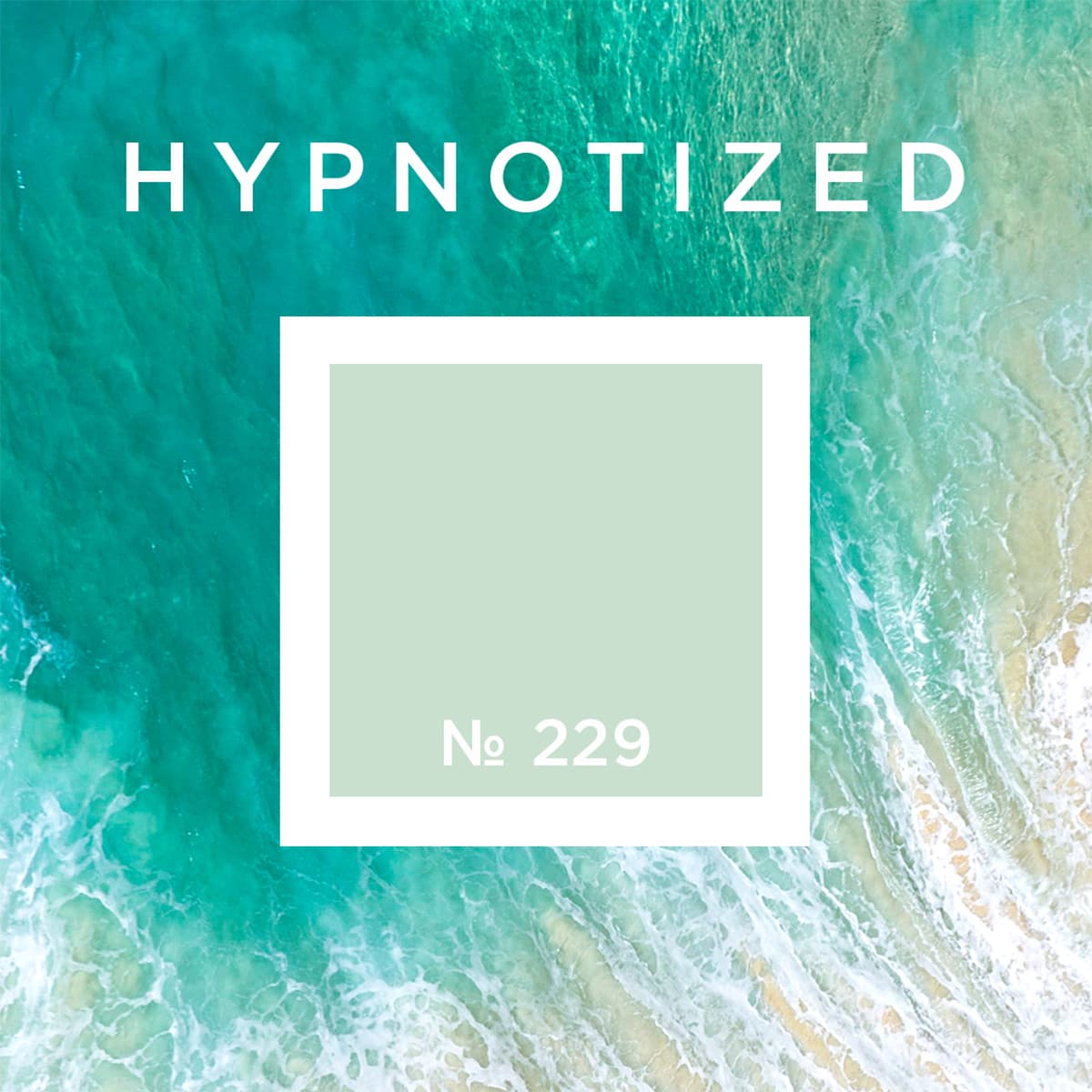 229 Hypnotized Olsta Architect