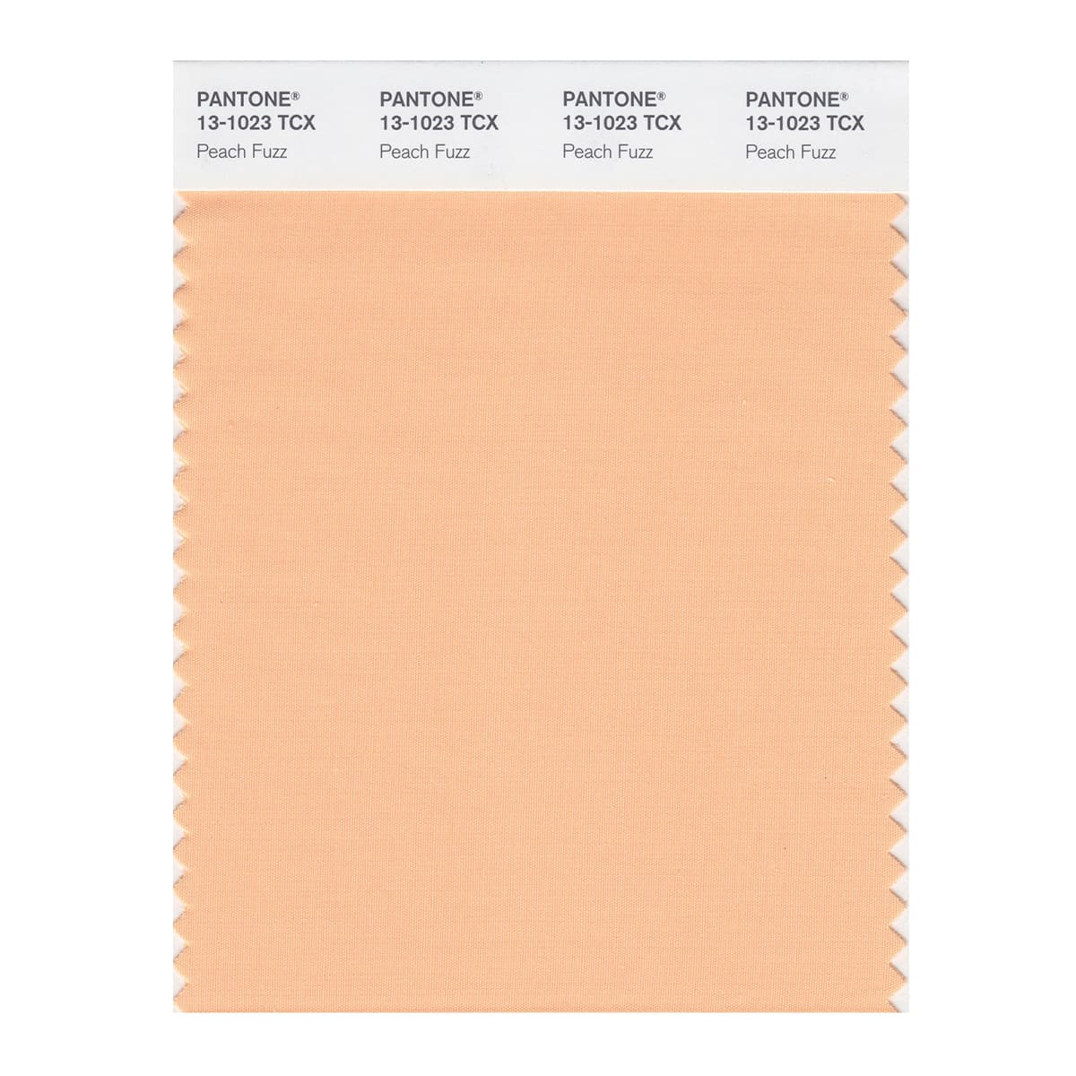 13-1023 Peach Fuzz PANTONE