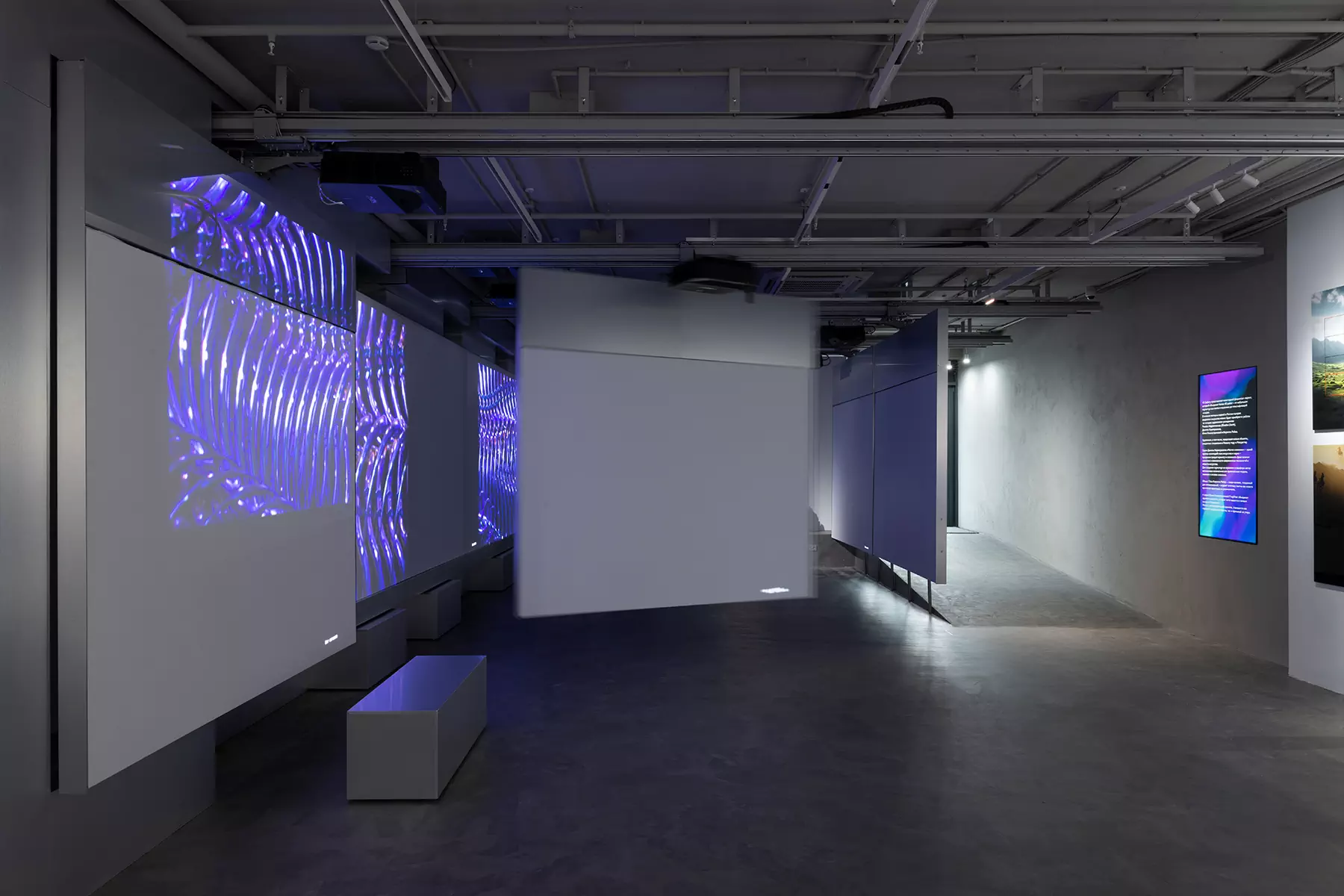 Динамичная подсветка и стальные стены в интерьере галереи фиджитал-искусства — проект студии Poisk Bureau