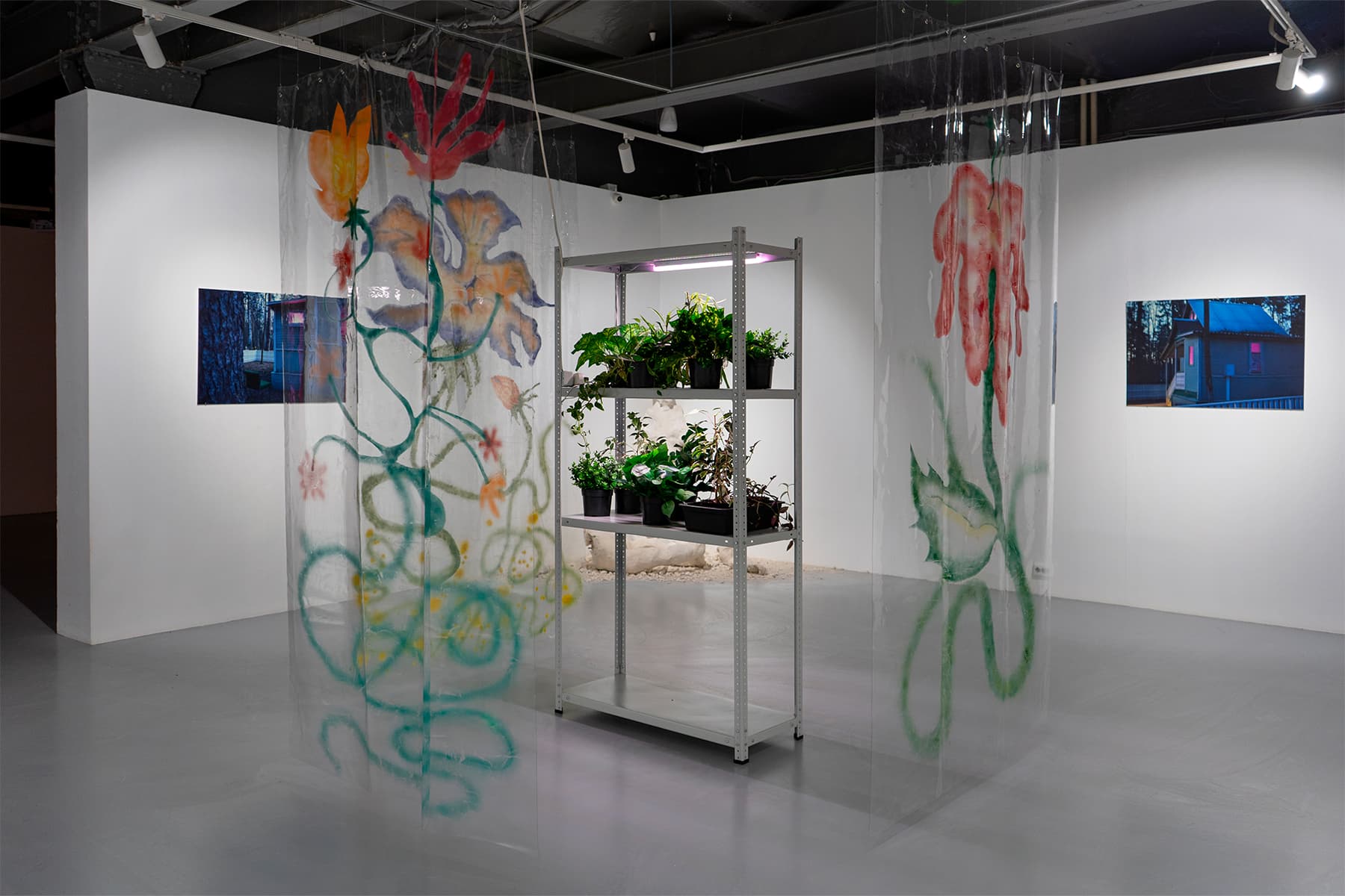 Васса Пыркова