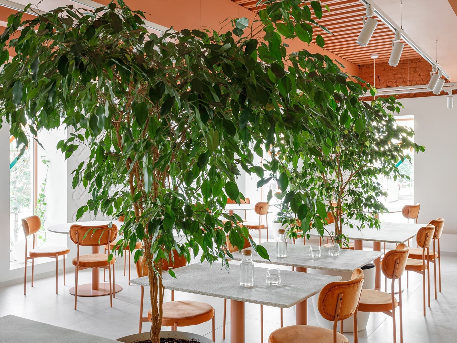 Любовь к природе и теплый оранжевый оттенок в интерьере кафе в Самаре – проект архитектурного бюро TYURIN+PARTNERS