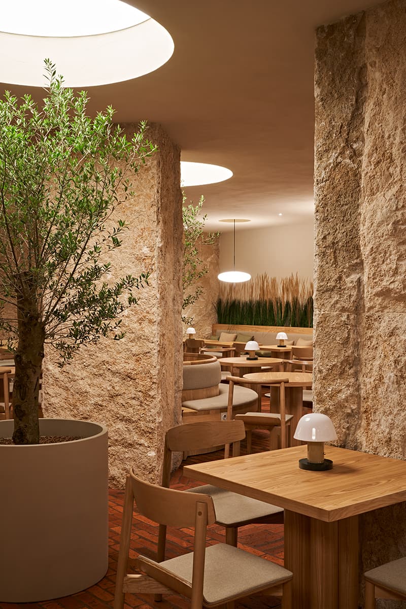 Оливковые деревья и искусный потолочный свет в интерьере ресторана с итальянским характером — проект студии ludi_architects