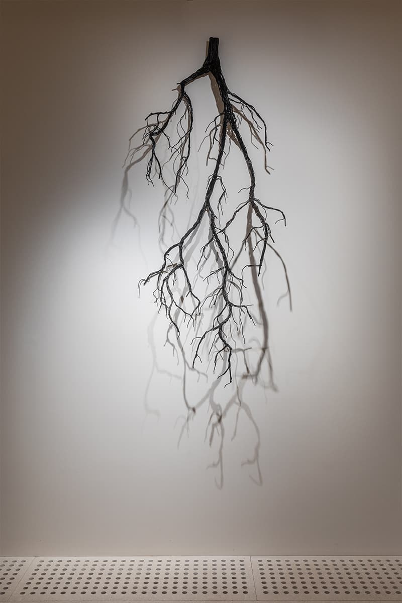 Ася Заславская