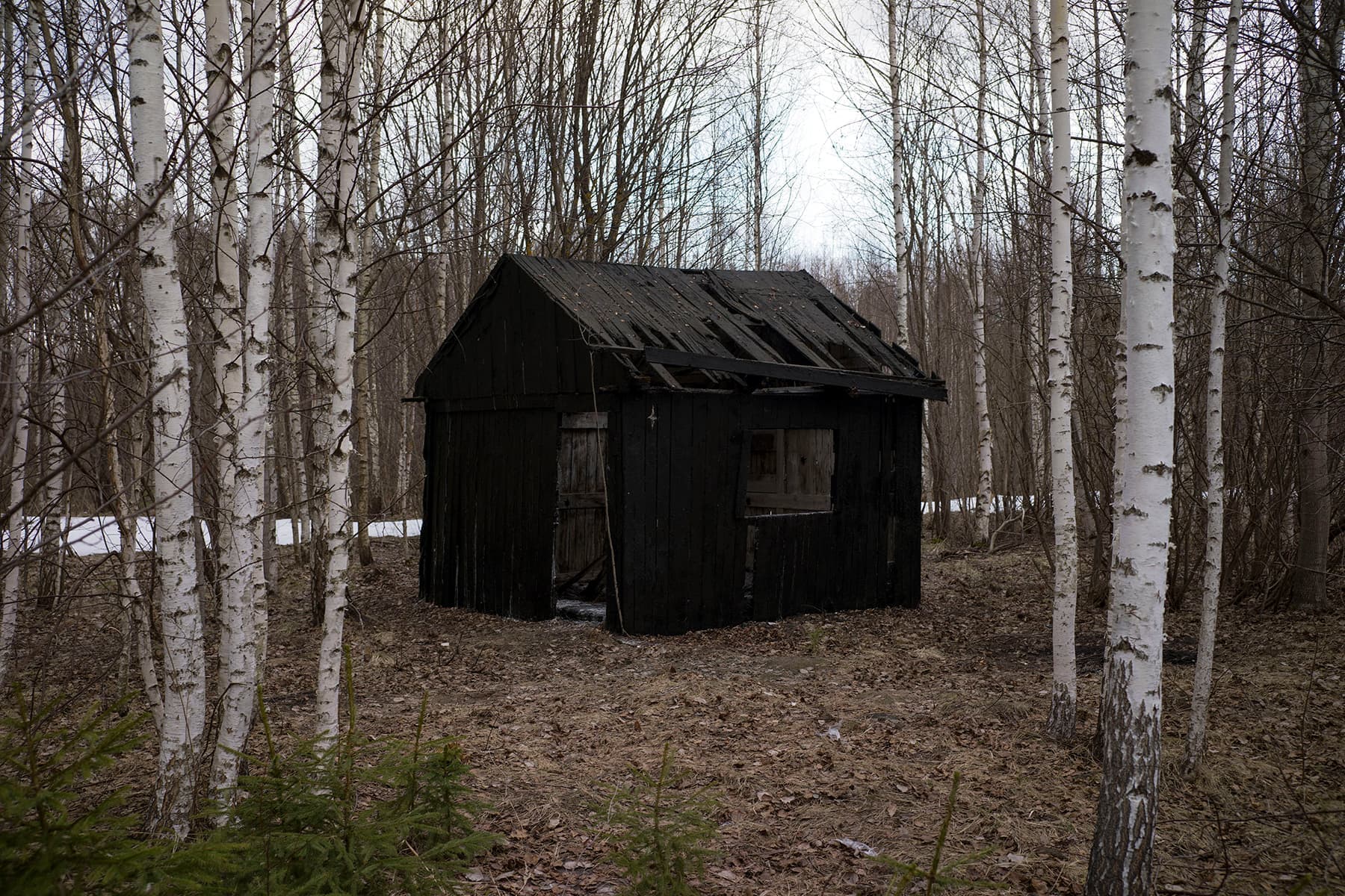 Владимир Чернышев