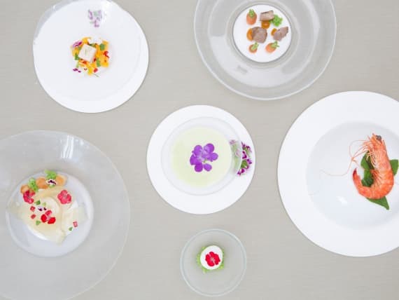 Дизайнер Лина Салех придумала «живую» посуду из силикона Дизайнер Лина Салех придумала «живую» посуду из силикона