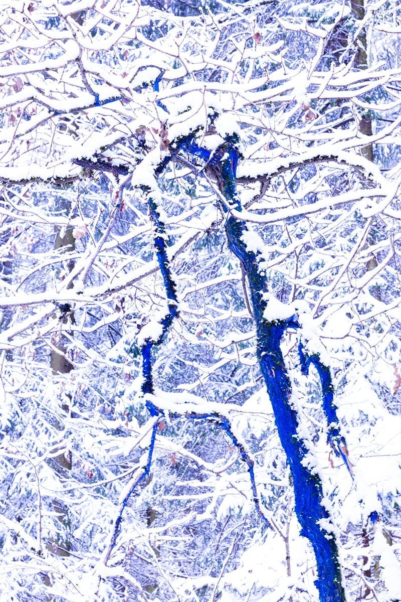 Дарья Панова