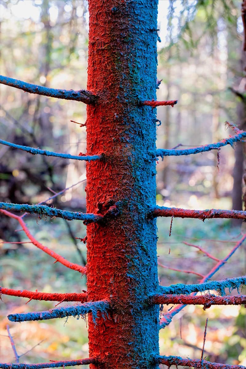 Дарья Панова