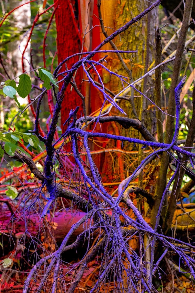 Дарья Панова