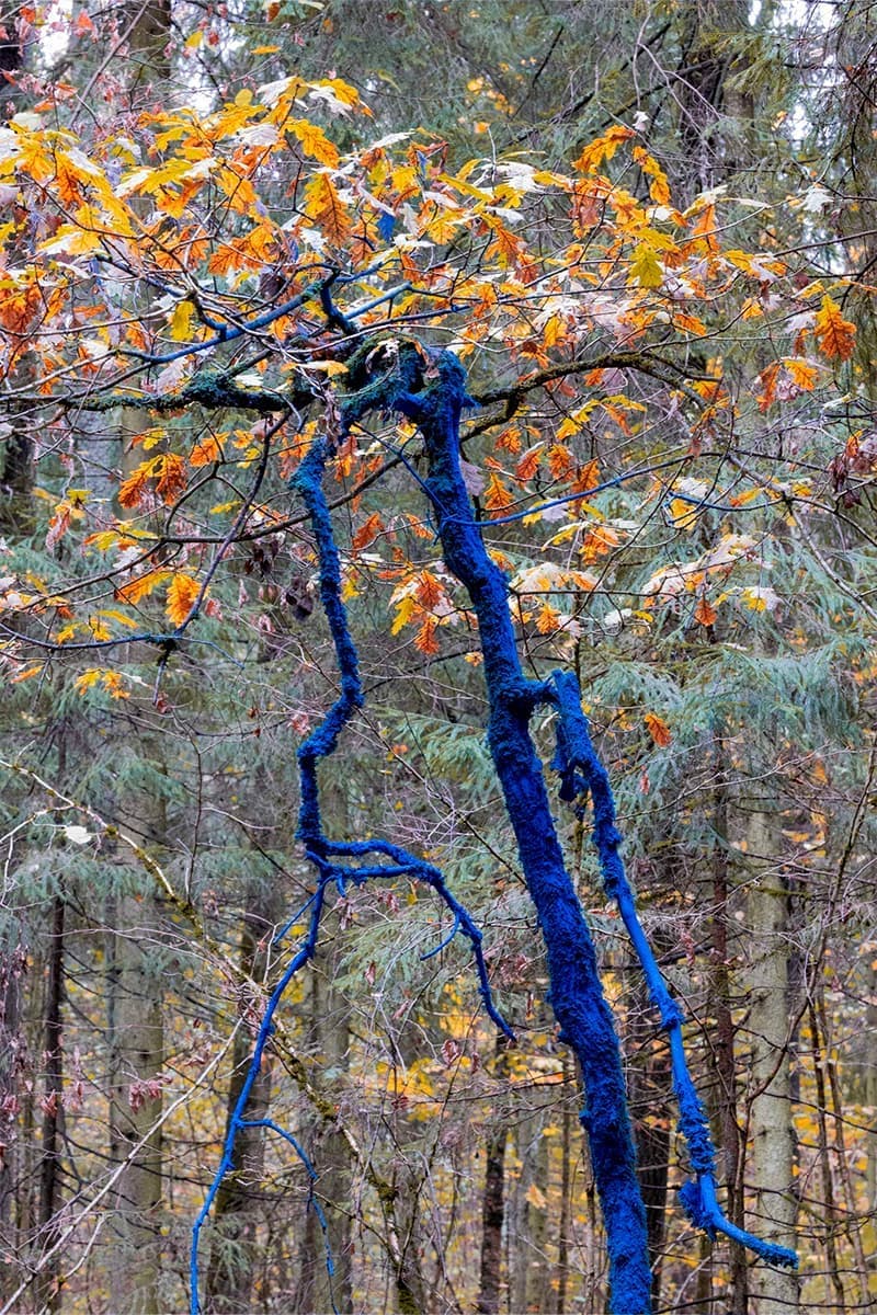 Дарья Панова
