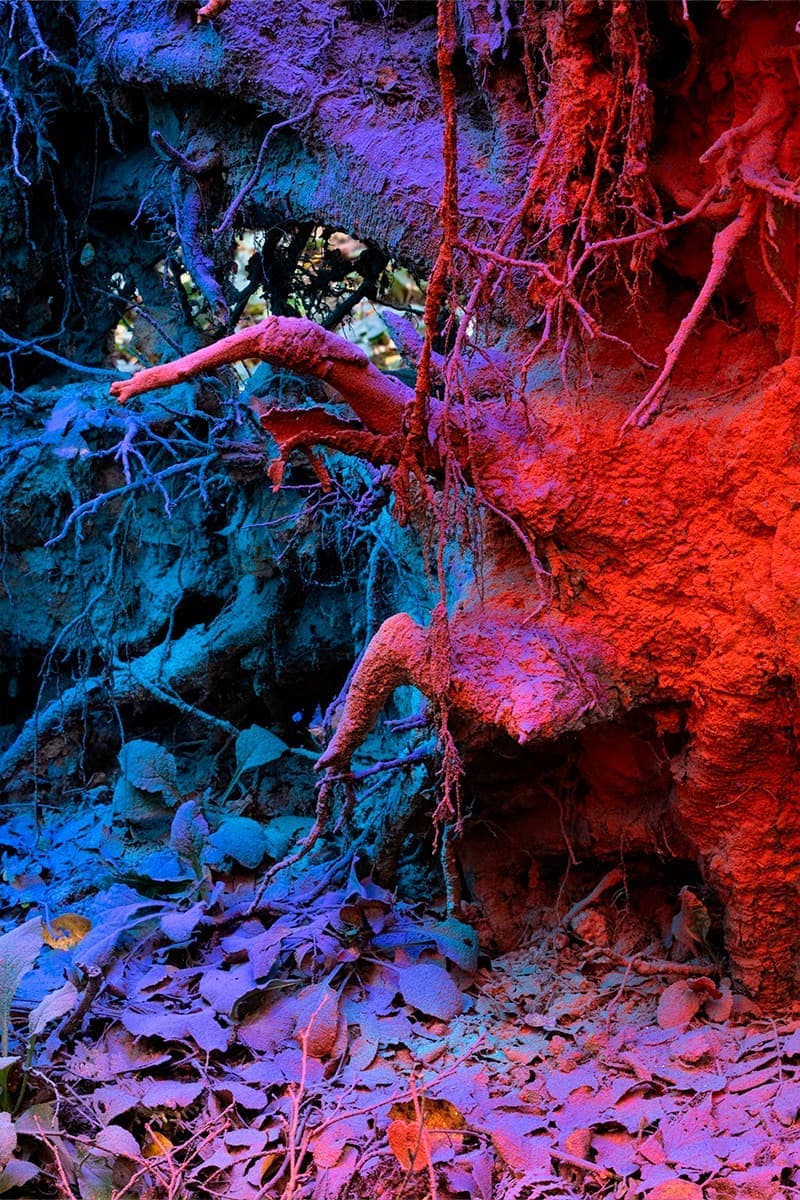 Дарья Панова