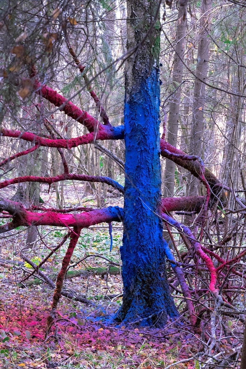 Дарья Панова