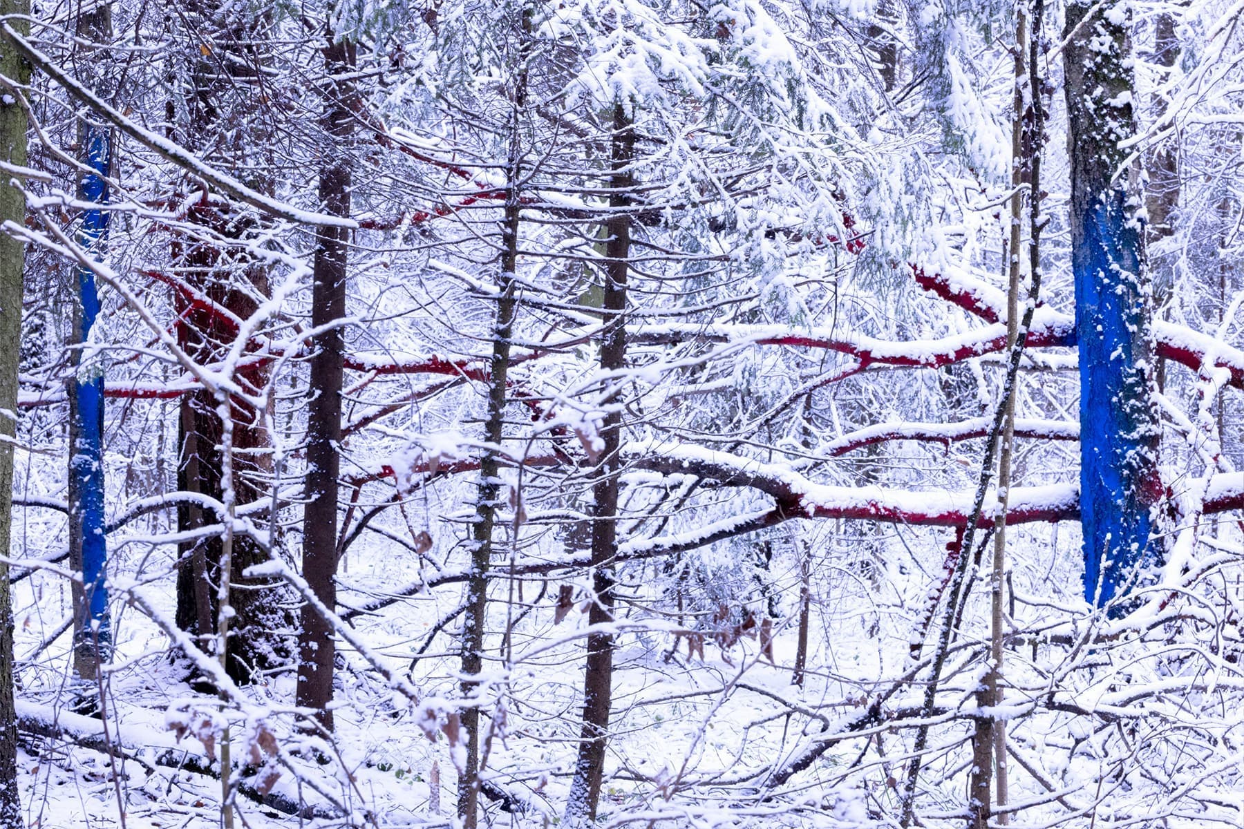 Дарья Панова