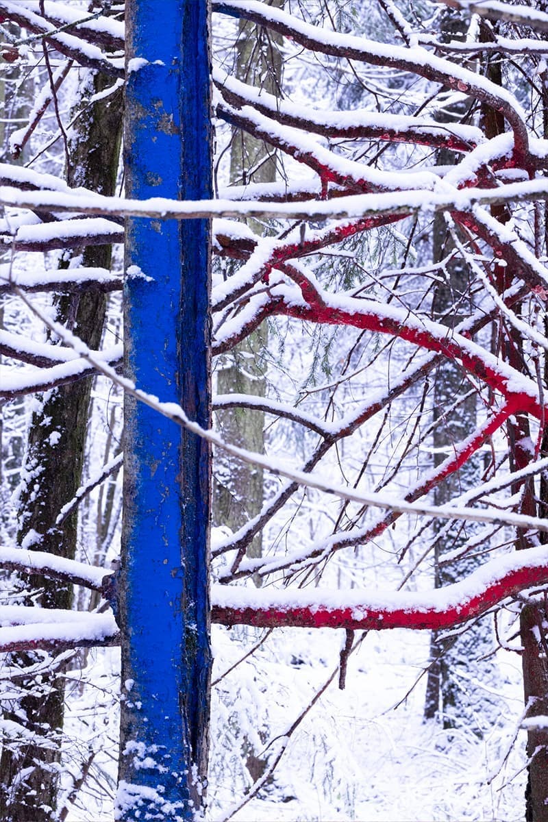 Дарья Панова