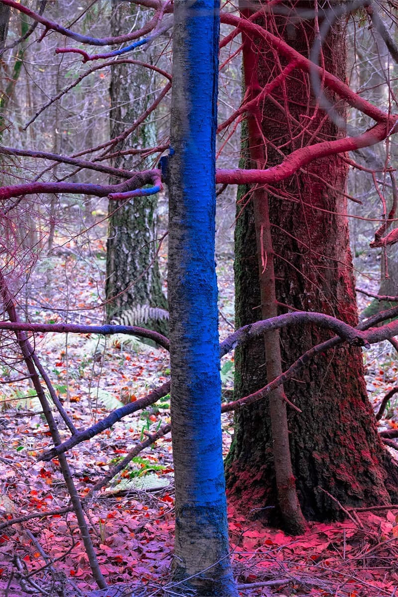 Дарья Панова