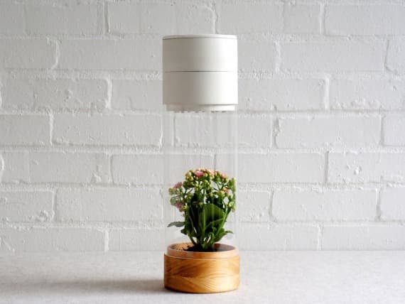 Молодой британский дизайнер создал мотивационный горшок для растений Молодой британский дизайнер создал мотивационный горшок для растений