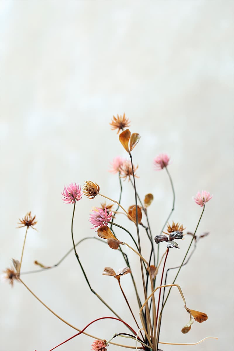 Анастасия Прибельская