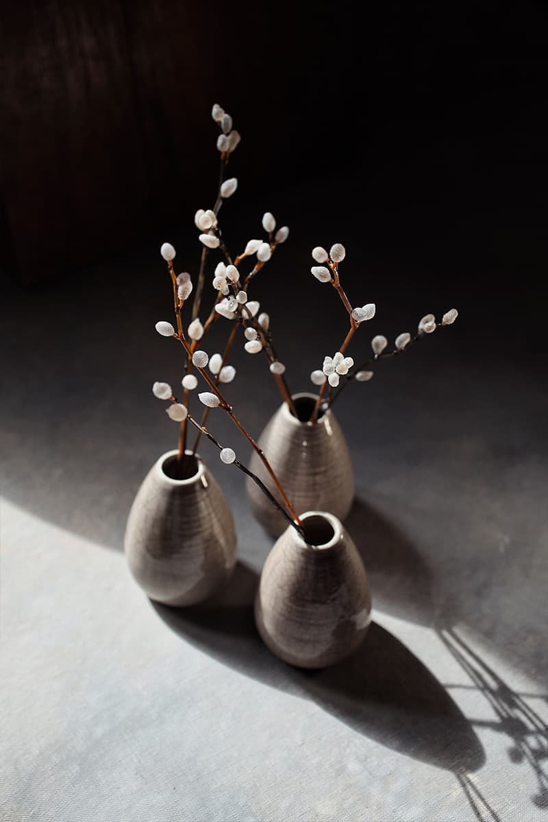 Анастасия Прибельская