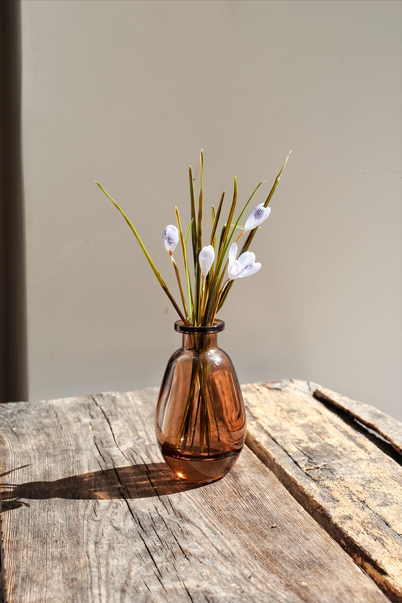 Анастасия Прибельская