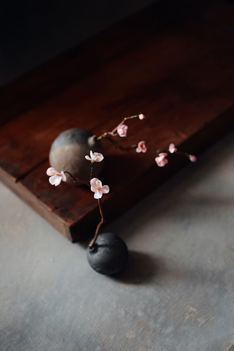 Анастасия Прибельская