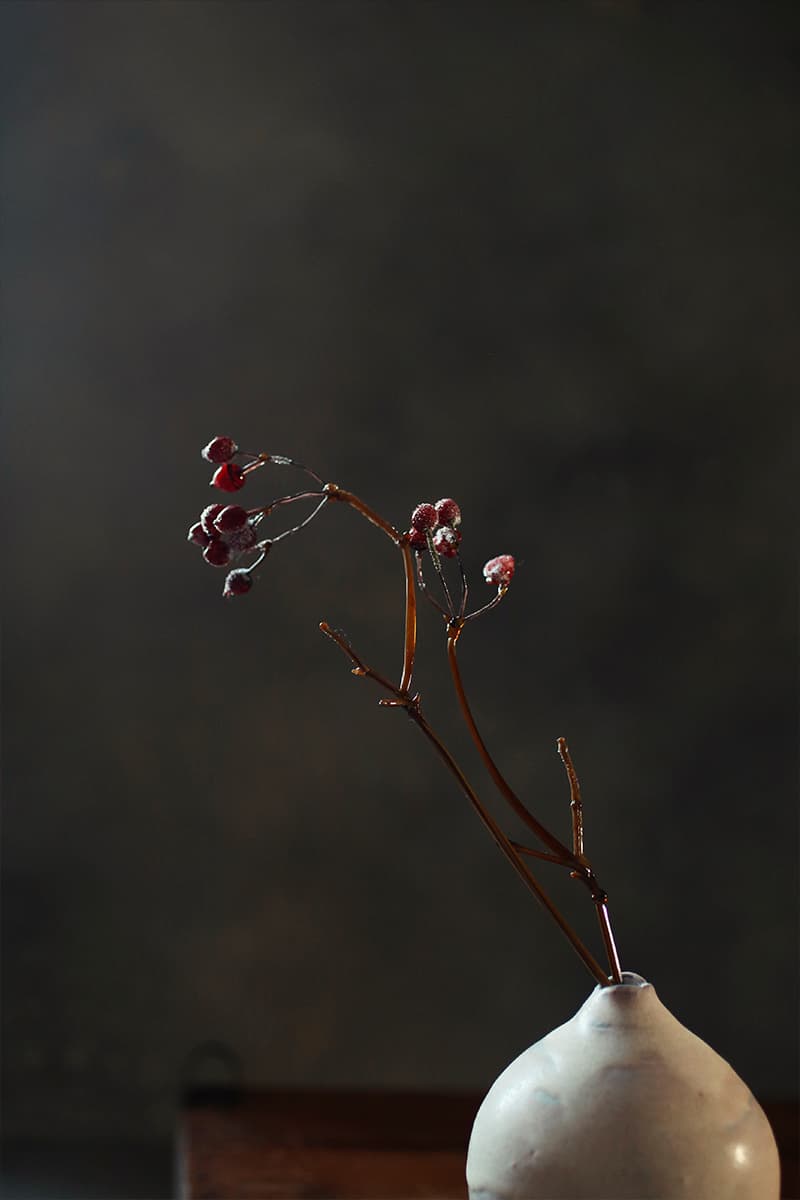 Анастасия Прибельская