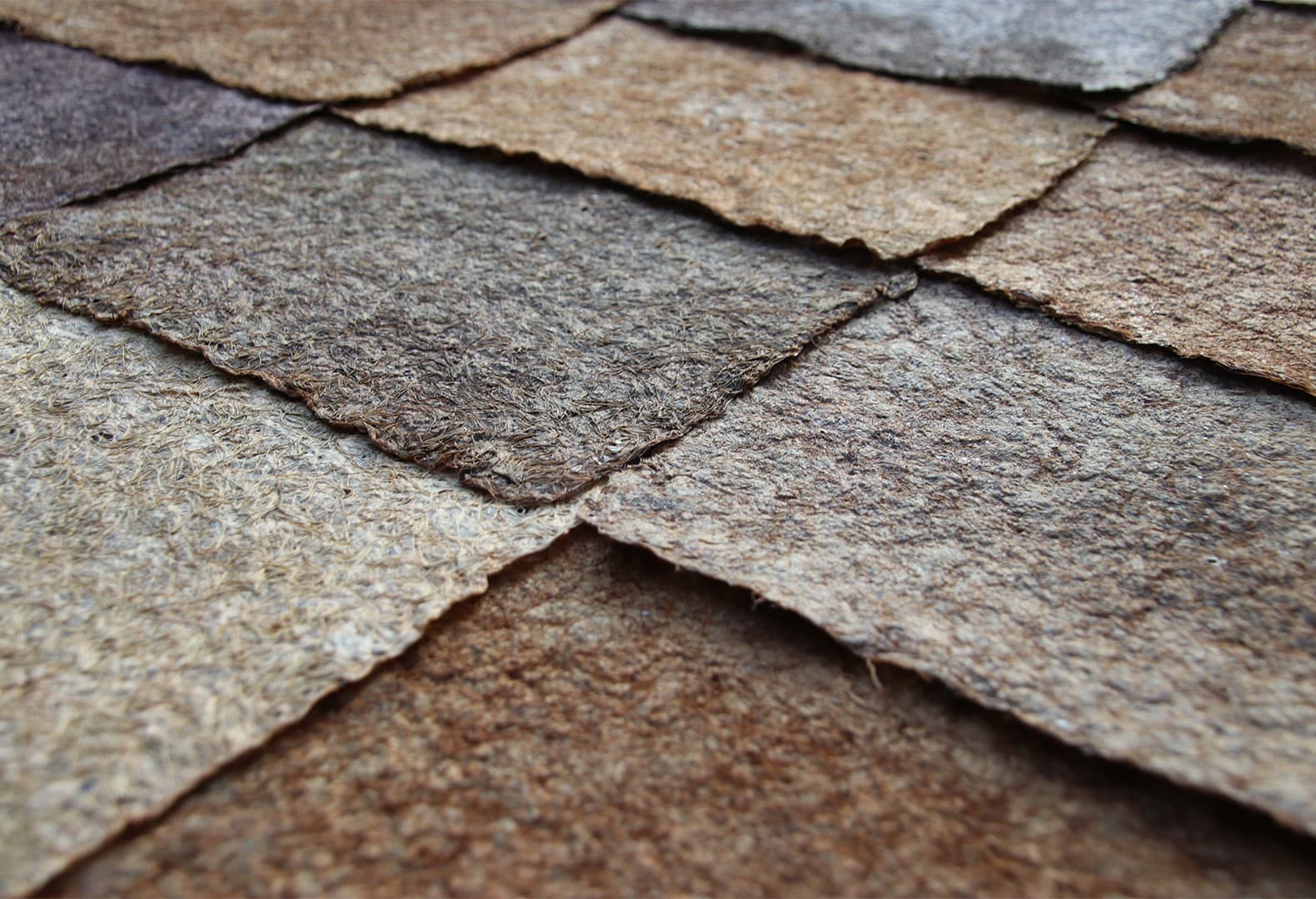 Матильда Уитток