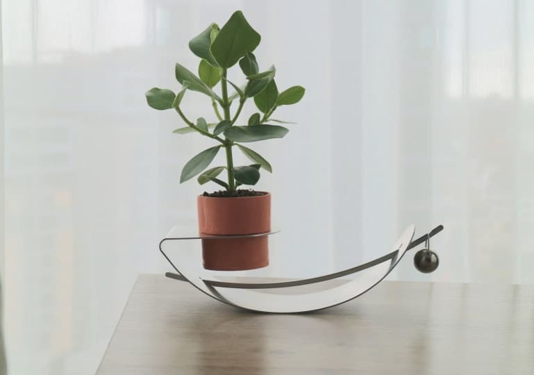 Выпускница Central Saint Martins придумала качающуюся подставку для растений