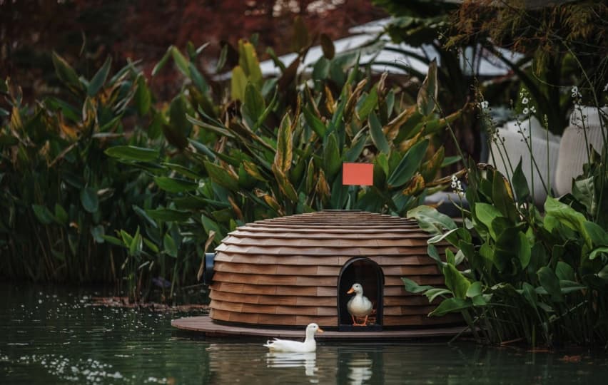 Дизайнер из Тайваня придумал укрытия для уток