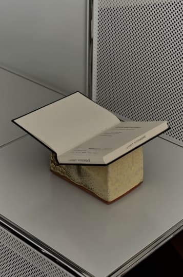 Коллаборация USM и студии LOVEISENOUGH