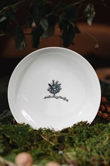 Новая коллекция проекта «Антихрупкость», посвященная уральскому лесу