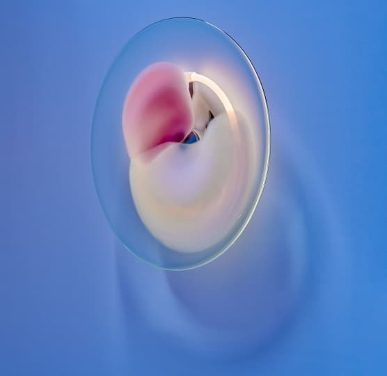 Студия Thier & van Daalen представила серию бра BLOOM