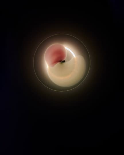 Студия Thier & van Daalen представила серию бра BLOOM