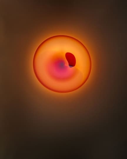 Студия Thier & van Daalen представила серию бра BLOOM