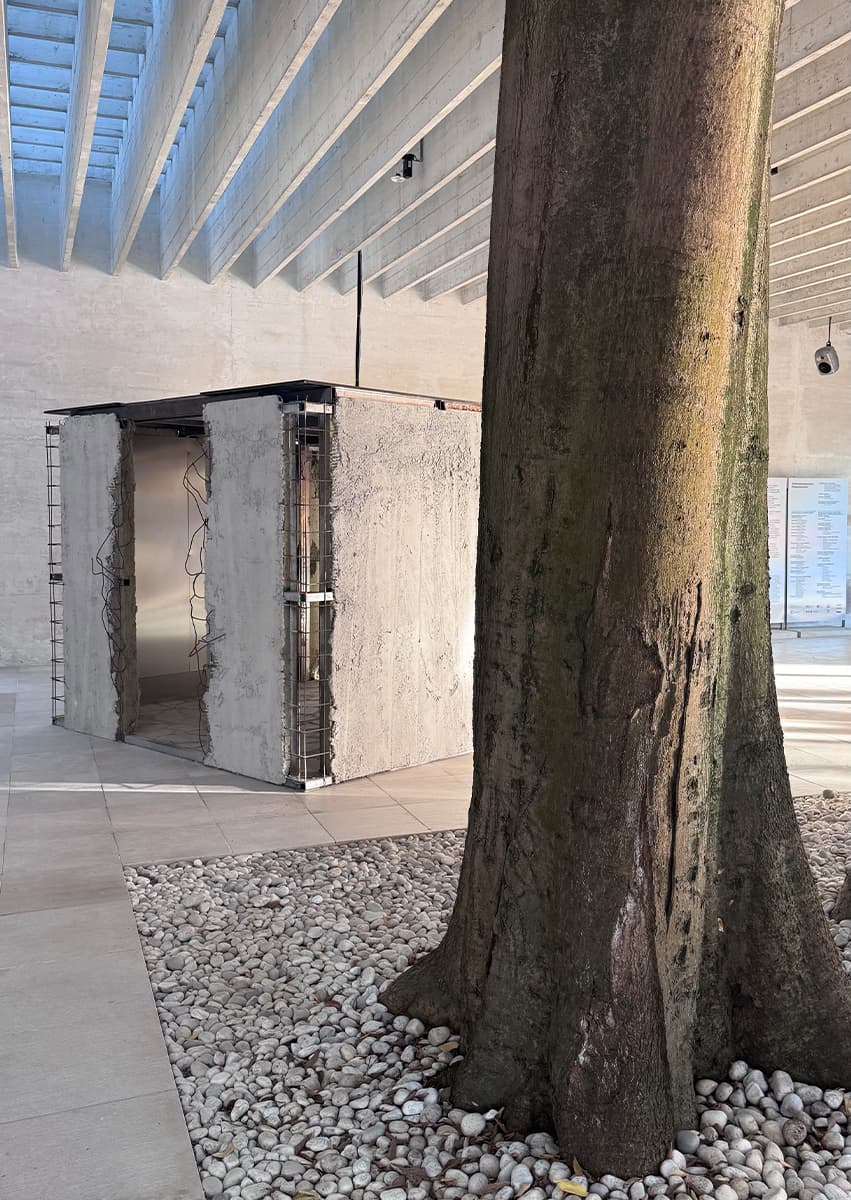 6 впечатляющих павильонов Венецианской архитектурной биеннале