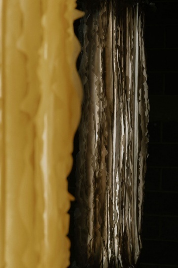 Polybion™ и Natural Urbano создали светильник из бактериальной целлюлозы