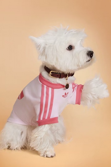 adidas расширил коллекцию одежды и аксессуаров для питомцев